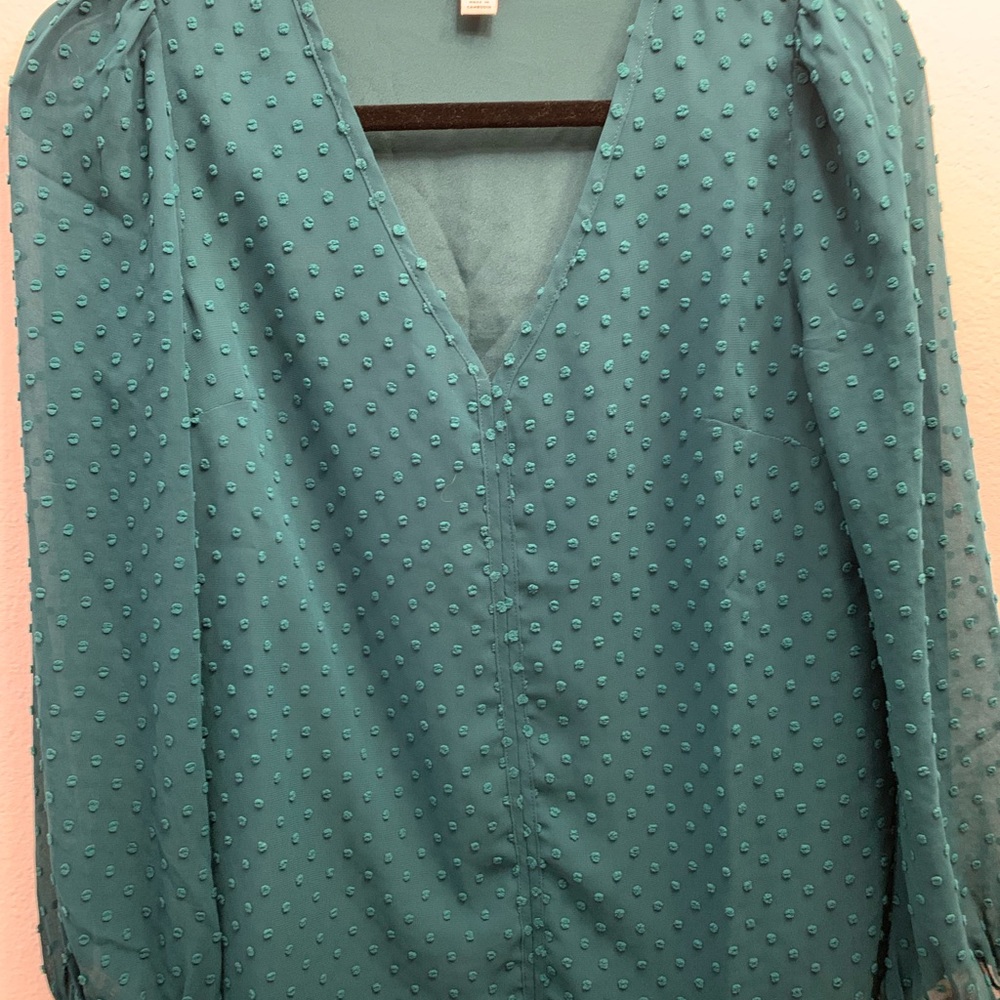 J.Crew Women's Green Swiss Dot Sheer Blouse Long Sleeve V Neck Top - Picture 2 of 6
